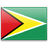 Guyana flag - copyright