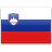 Slovenia flag - copyright